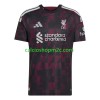 Liverpool Maglia Terza 2026/2027 Manica Corta